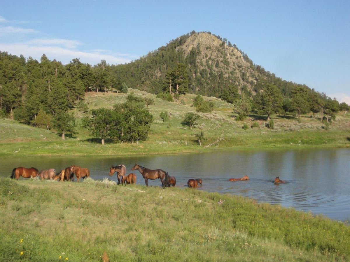 Willa Lake Guest Ranch Devils Tower Zewnętrze zdjęcie