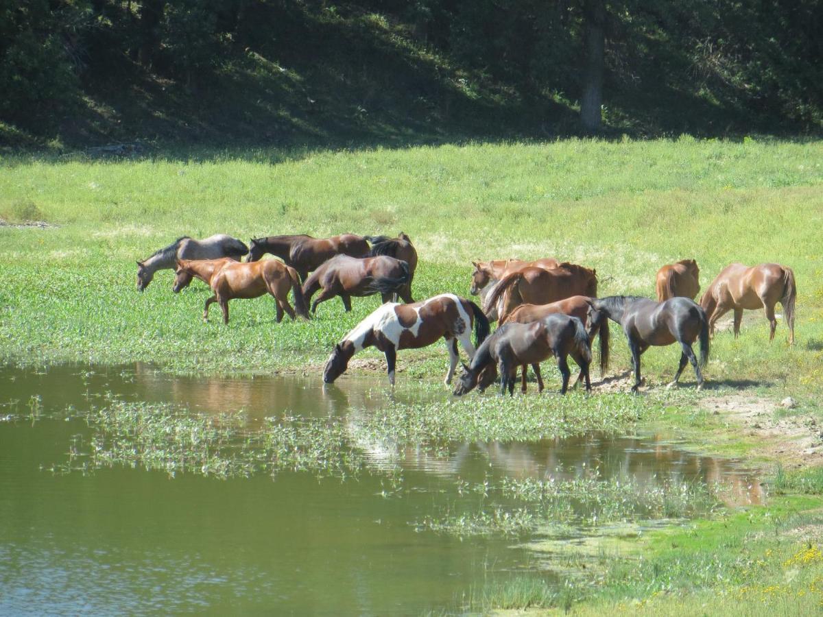 Willa Lake Guest Ranch Devils Tower Zewnętrze zdjęcie